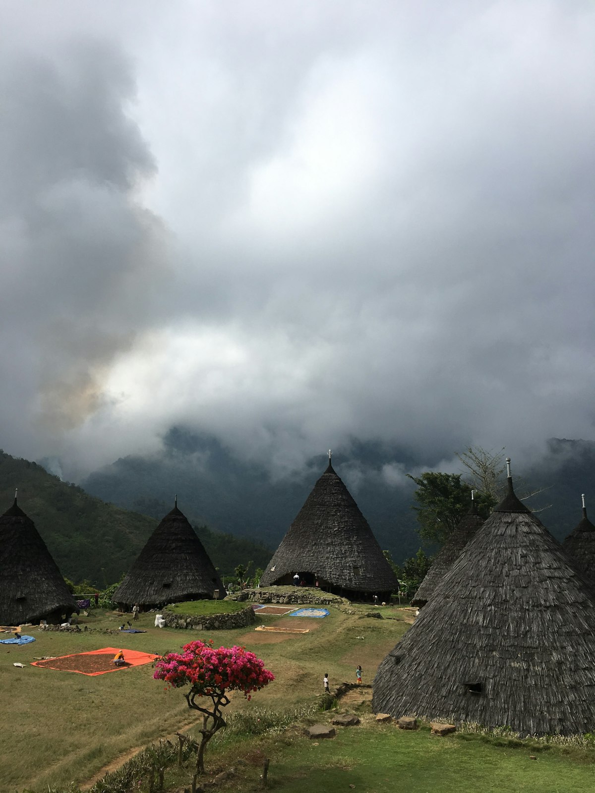 Traditionele kegelvormige Mbaru Niang-huizen van het dorp Wae Rebo in bergmist, Flores